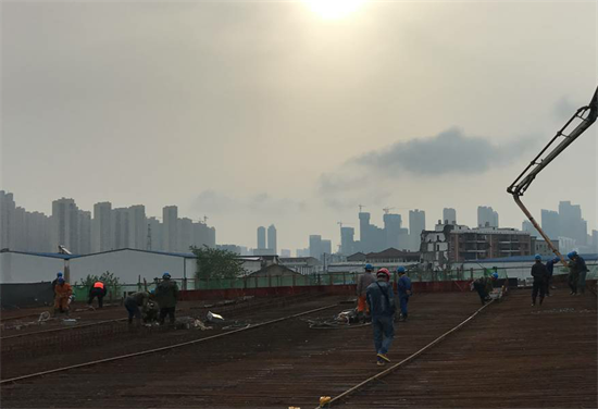 ���Ź����217��(�й���)����