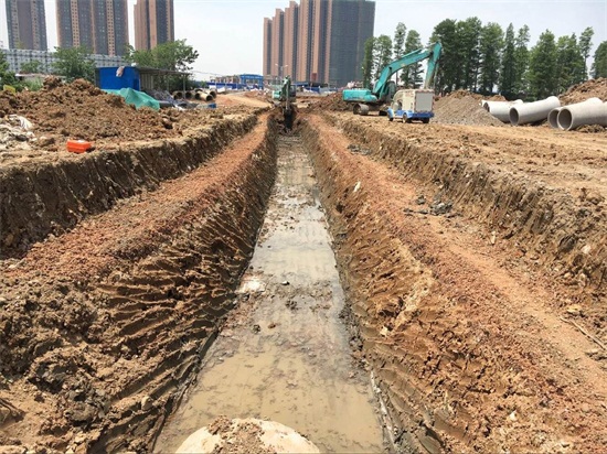 ���Ź����217��(�й���)����