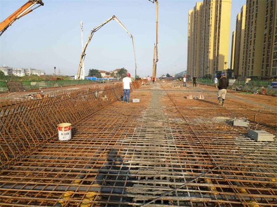 ���Ź����217��(�й���)����