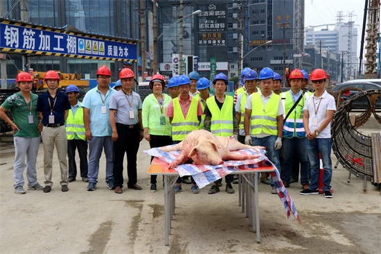 ���Ź����217��(�й���)����