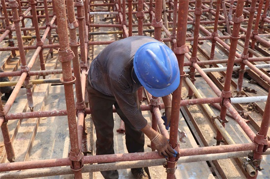 ���Ź����217��(�й���)����