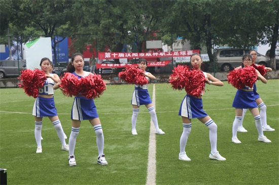 ���Ź����217��(�й���)����