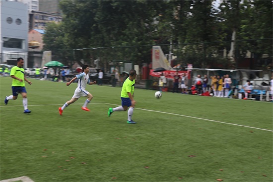 ���Ź����217��(�й���)����