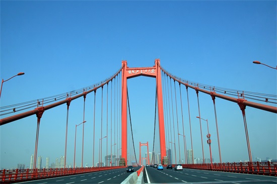 ���Ź����217��(�й���)����