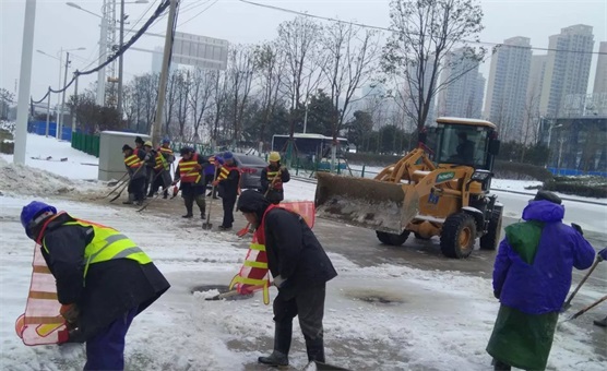 ���Ź����217��(�й���)����