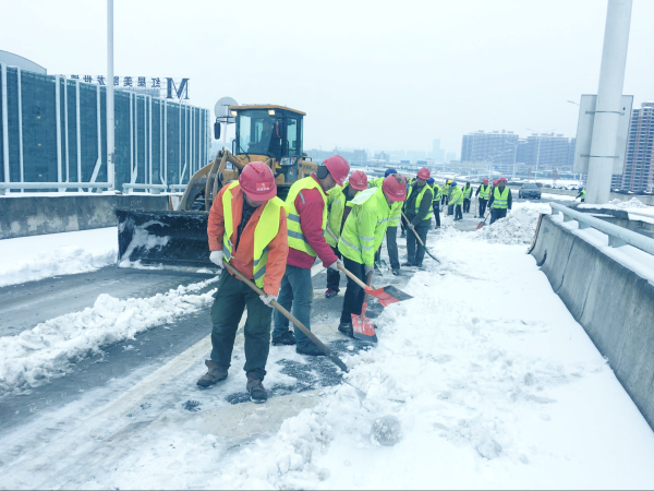 ���Ź����217��(�й���)����