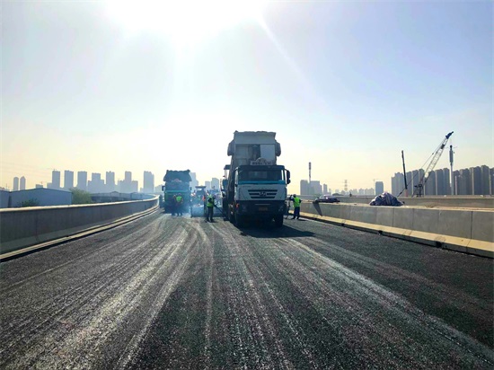 ���Ź����217��(�й���)����