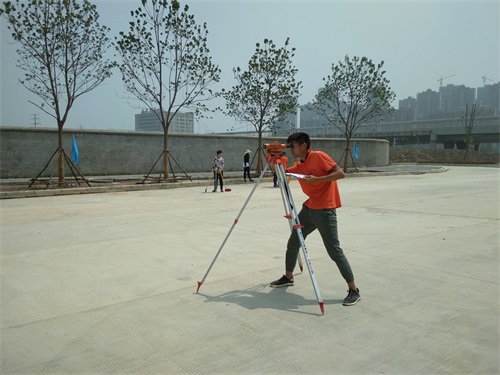 ���Ź����217��(�й���)����