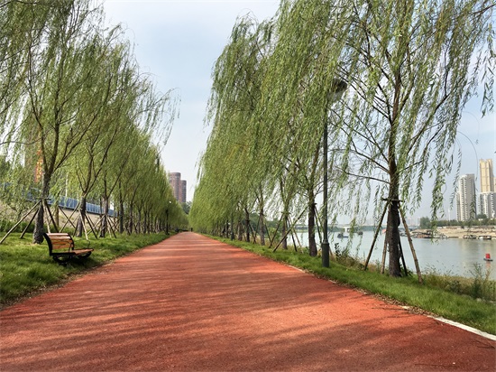 ���Ź����217��(�й���)����