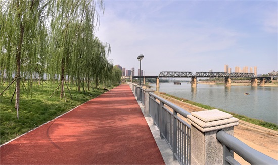 ���Ź����217��(�й���)����