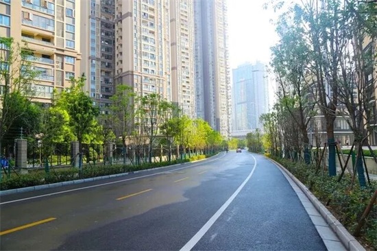 ���Ź����217��(�й���)����