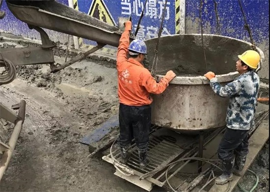 ���Ź����217��(�й���)����