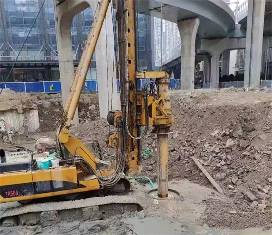 ���Ź����217��(�й���)����