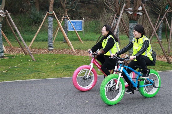 ���Ź����217��(�й���)����