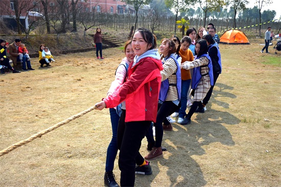 ���Ź����217��(�й���)����