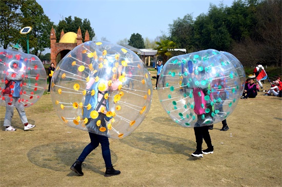 ���Ź����217��(�й���)����