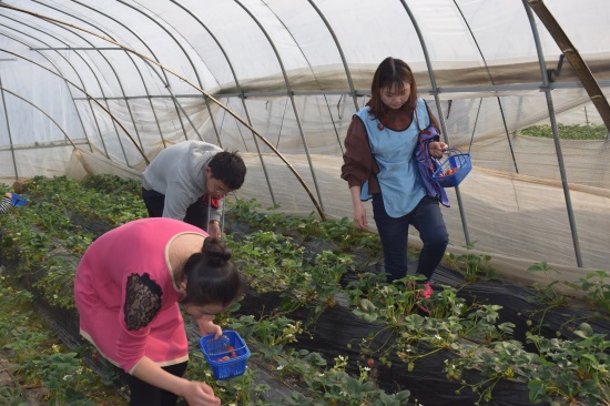 ���Ź����217��(�й���)����