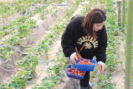 ���Ź����217��(�й���)����