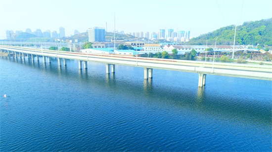 ���Ź����217��(�й���)����