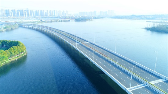 ���Ź����217��(�й���)����