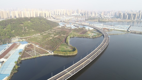 ���Ź����217��(�й���)����