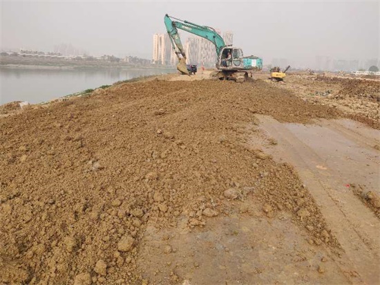 ���Ź����217��(�й���)����