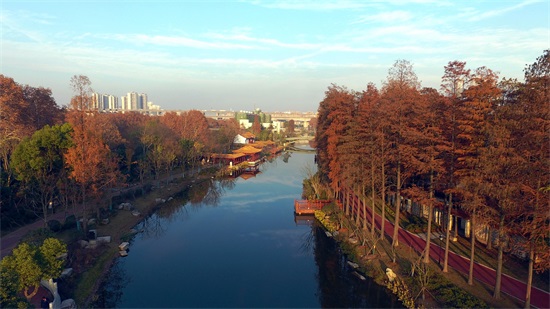 ���Ź����217��(�й���)����