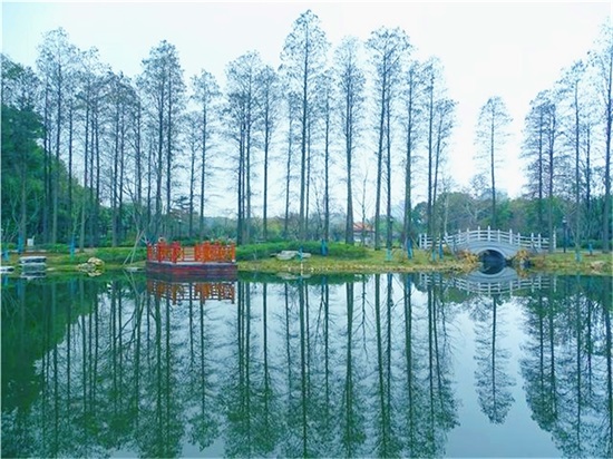 ���Ź����217��(�й���)����