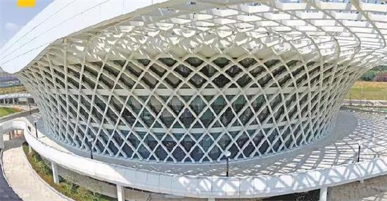 ���Ź����217��(�й���)����