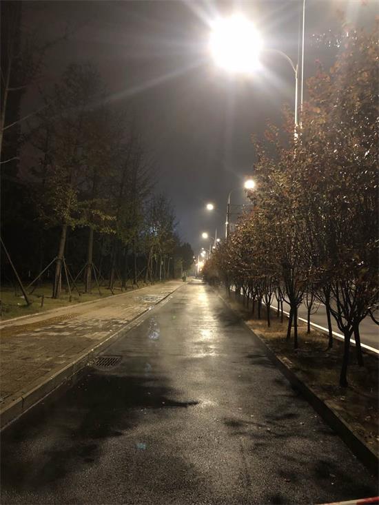 ���Ź����217��(�й���)����