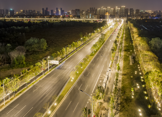 ���Ź����217��(�й���)����