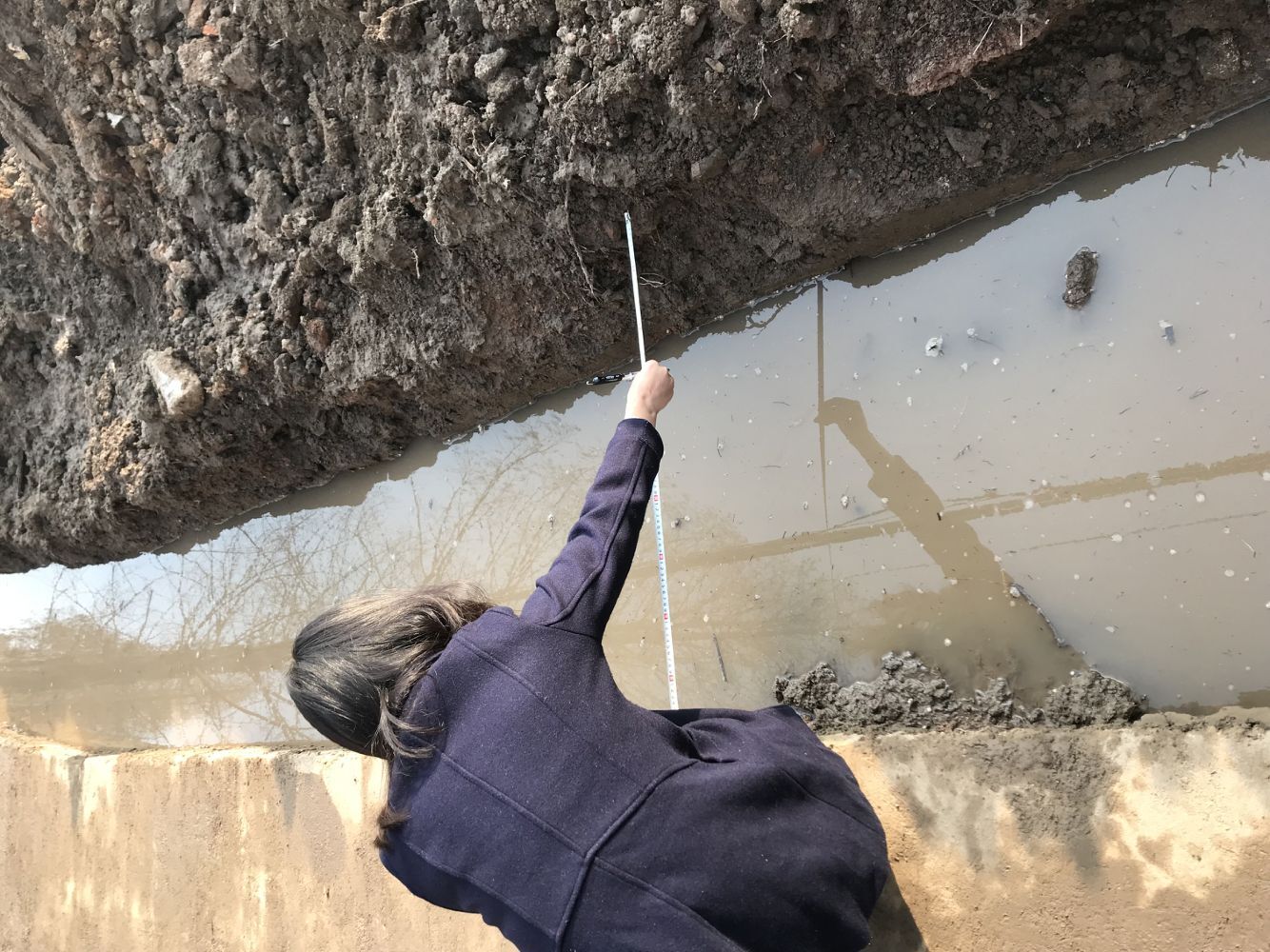 ���Ź����217��(�й���)����