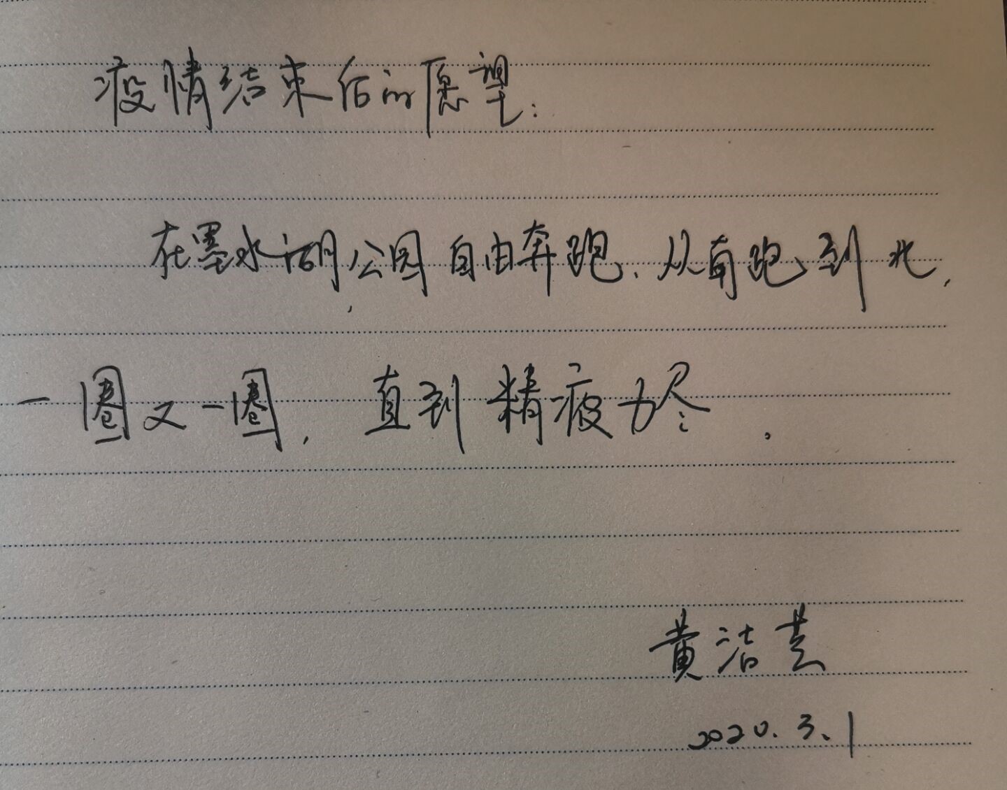 ���Ź����217��(�й���)����