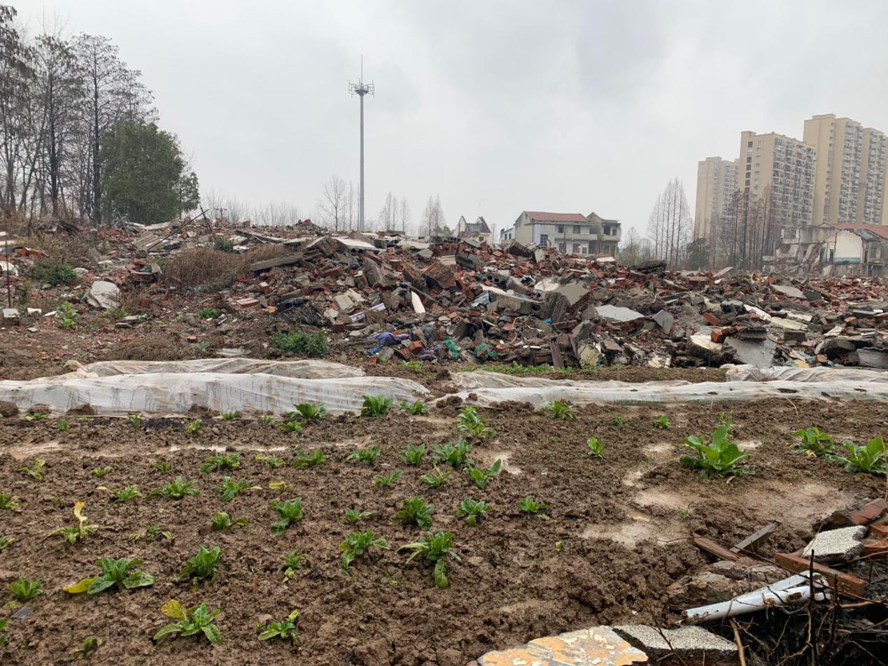 ���Ź����217��(�й���)����