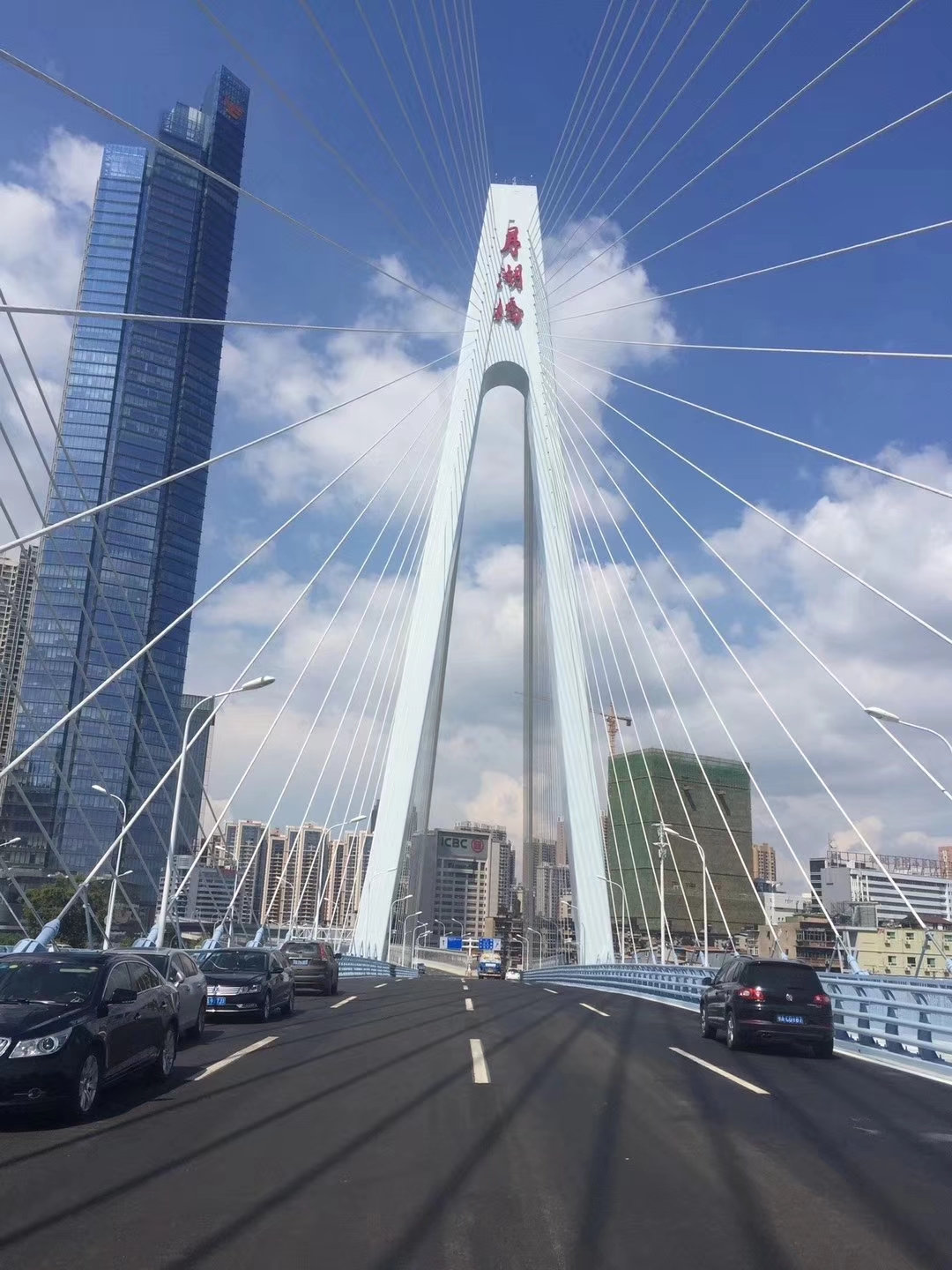 ���Ź����217��(�й���)����