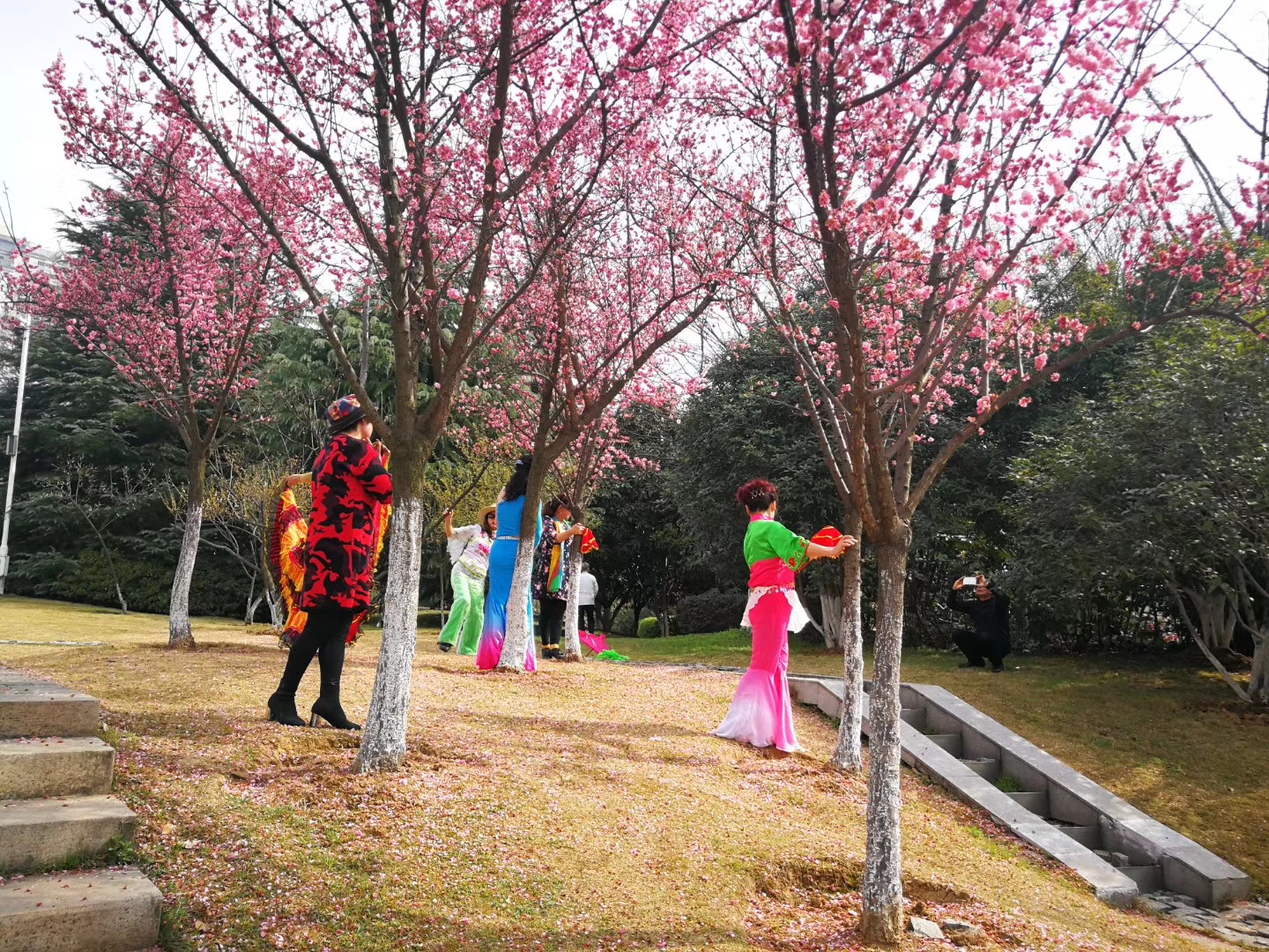 ���Ź����217��(�й���)����