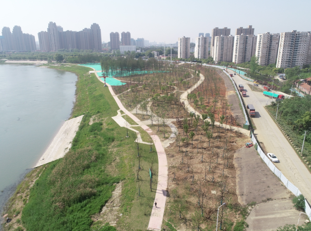 ���Ź����217��(�й���)����