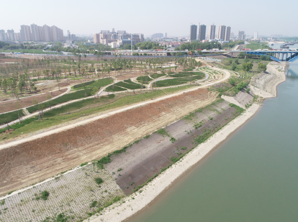 ���Ź����217��(�й���)����