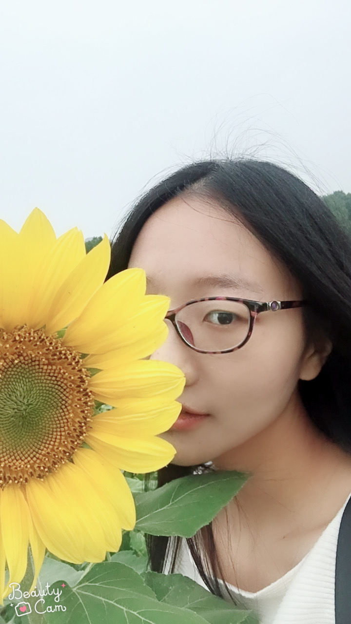 ���Ź����217��(�й���)����