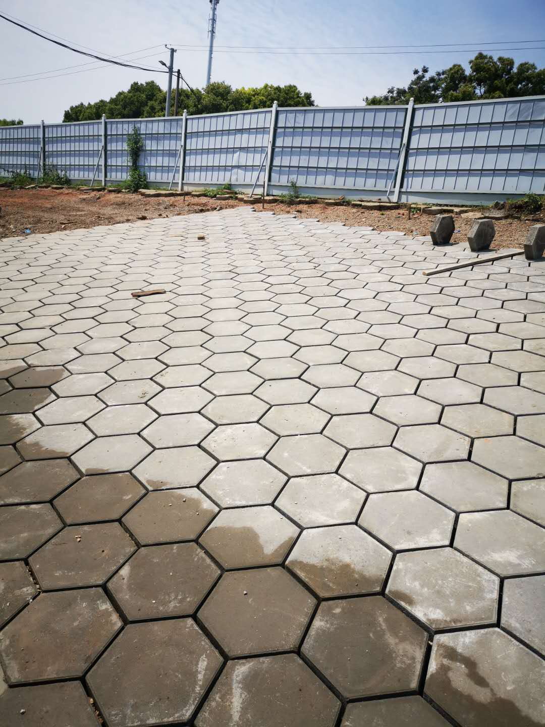 ���Ź����217��(�й���)����