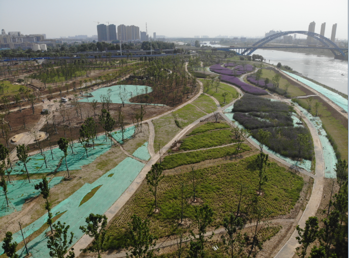 ���Ź����217��(�й���)����