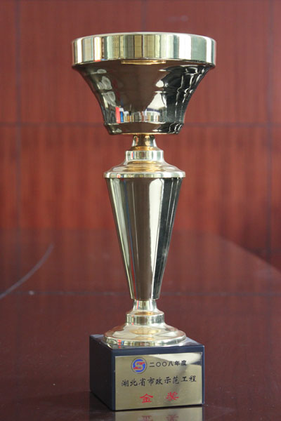 ���Ź����217��(�й���)����