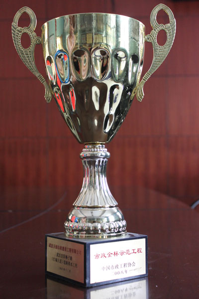 ���Ź����217��(�й���)����