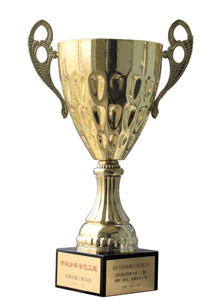 ���Ź����217��(�й���)����