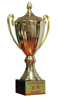 ���Ź����217��(�й���)����