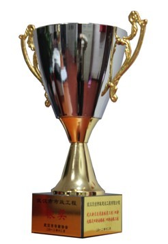 ���Ź����217��(�й���)����