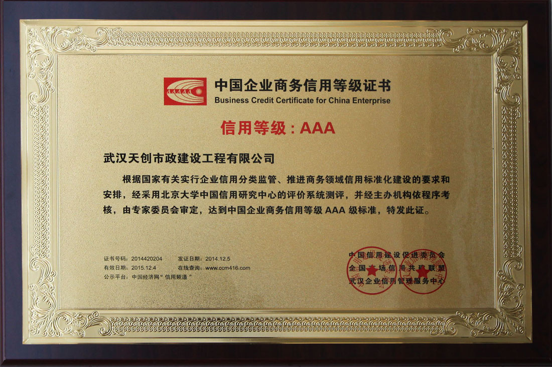 ���Ź����217��(�й���)����