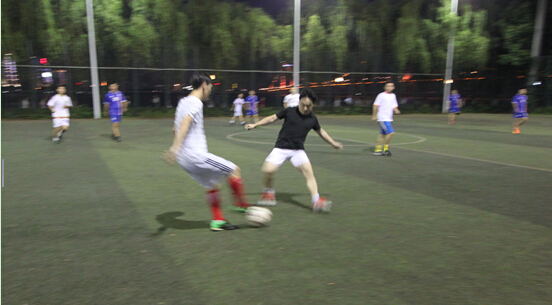 ���Ź����217��(�й���)����